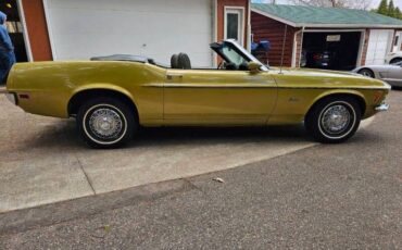Unknown-Mustang-1970-green-green-12