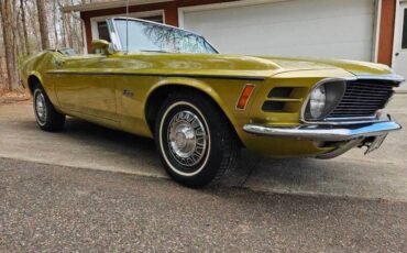 Unknown-Mustang-1970-green-green-13