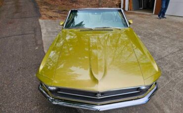 Unknown-Mustang-1970-green-green-15