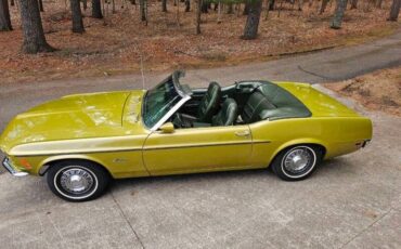 Unknown-Mustang-1970-green-green-17