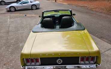 Unknown-Mustang-1970-green-green-19