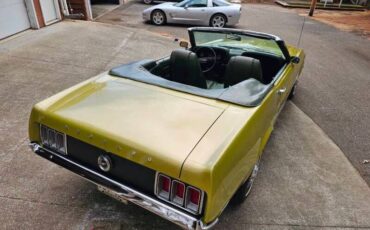 Unknown-Mustang-1970-green-green-20