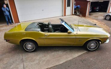 Unknown-Mustang-1970-green-green-21