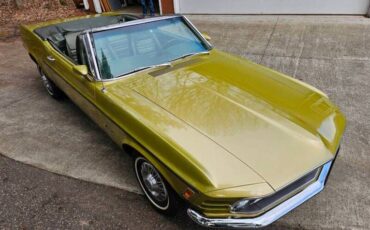 Unknown-Mustang-1970-green-green-22