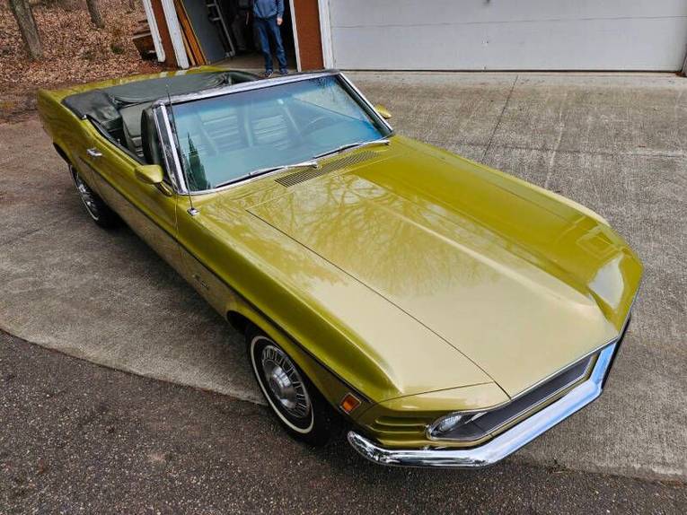 Unknown-Mustang-1970-green-green-22