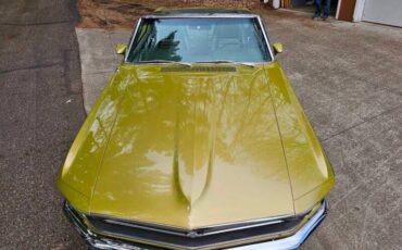 Unknown-Mustang-1970-green-green-23
