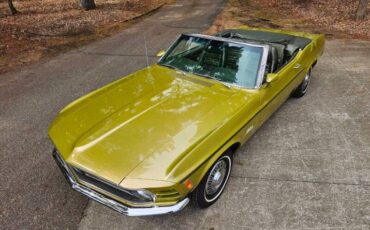 Unknown-Mustang-1970-green-green-24