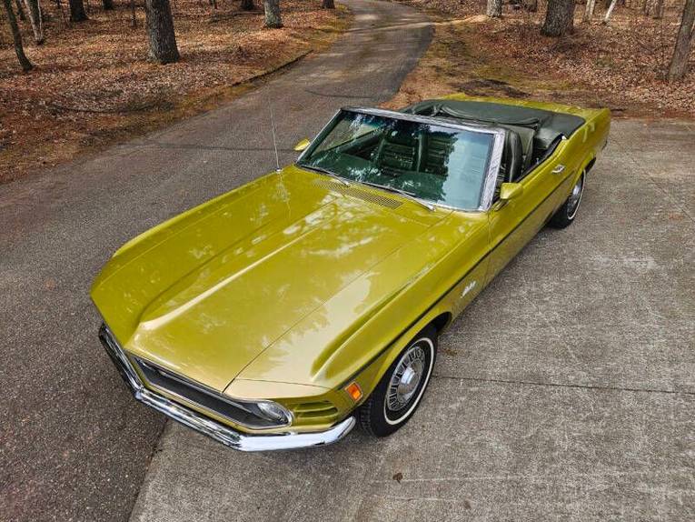 Unknown-Mustang-1970-green-green-24