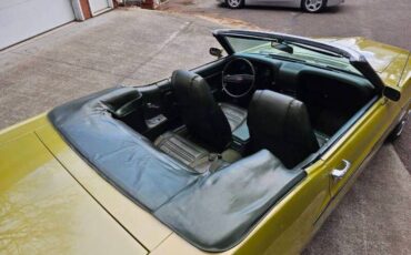 Unknown-Mustang-1970-green-green-26