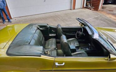 Unknown-Mustang-1970-green-green-27