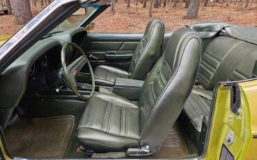 Unknown-Mustang-1970-green-green-29