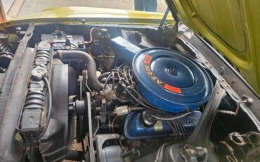 Unknown-Mustang-1970-green-green-3