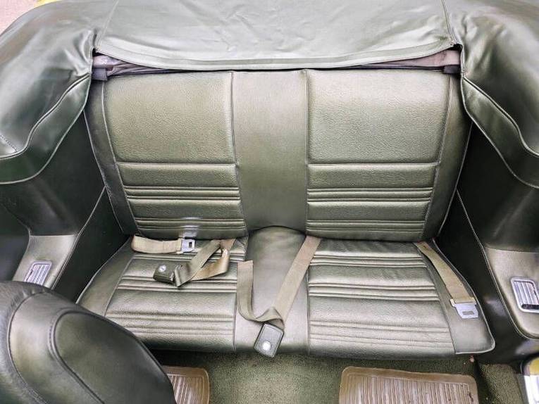Unknown-Mustang-1970-green-green-30