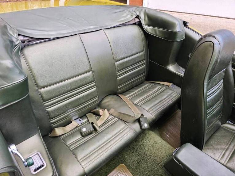 Unknown-Mustang-1970-green-green-34