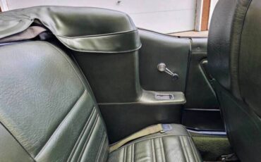 Unknown-Mustang-1970-green-green-35