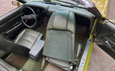 Unknown-Mustang-1970-green-green-37