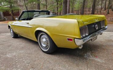 Unknown-Mustang-1970-green-green