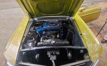 Unknown-Mustang-1970-green-green-38