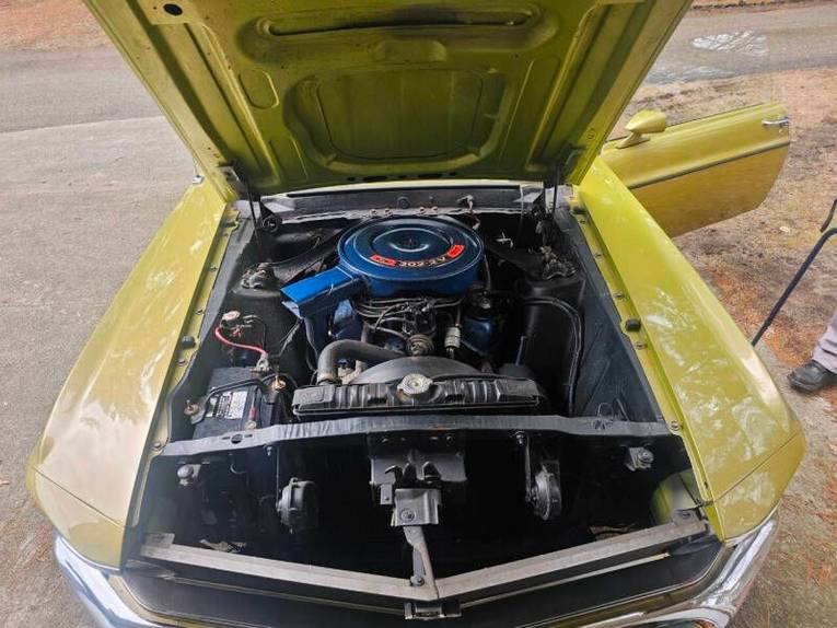 Unknown-Mustang-1970-green-green-38