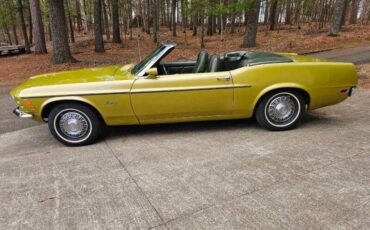 Unknown-Mustang-1970-green-green-39