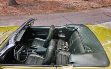 Unknown-Mustang-1970-green-green-40