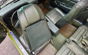 Unknown-Mustang-1970-green-green-41