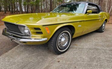 Unknown-Mustang-1970-green-green-5