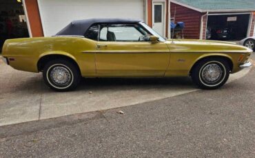 Unknown-Mustang-1970-green-green-6
