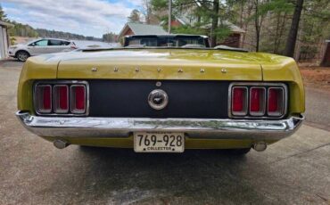 Unknown-Mustang-1970-green-green-7