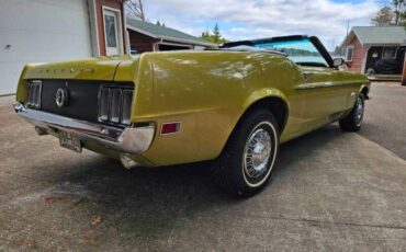 Unknown-Mustang-1970-green-green-8