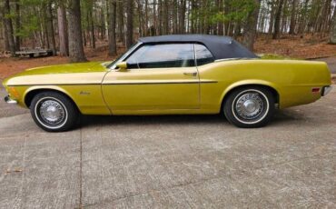 Unknown-Mustang-1970-green-green-9