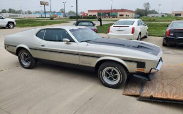 Unknown-Mustang-1971-15