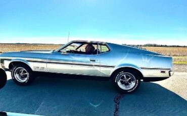 Unknown-Mustang-1971-2