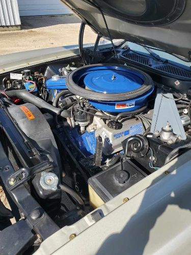 Unknown-Mustang-1971-7