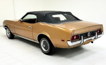 Unknown-Mustang-1971-Copper-Ginger-2