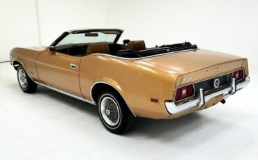 Unknown-Mustang-1971-Copper-Ginger-3