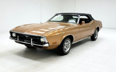 Unknown-Mustang-1971-Copper-Ginger-4
