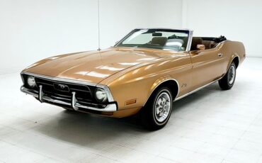Unknown-Mustang-1971-Copper-Ginger-5