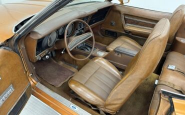 Unknown-Mustang-1971-Copper-Ginger-9