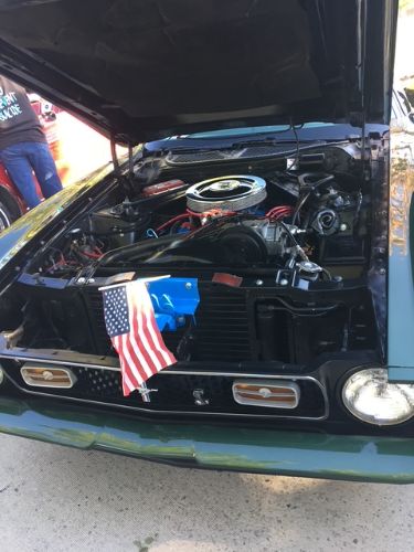 Unknown-Mustang-1971-Dark-GreenSlight-Go-2