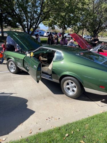 Unknown-Mustang-1971-Dark-GreenSlight-Go-3