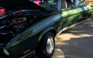 Unknown-Mustang-1971-Dark-GreenSlight-Go