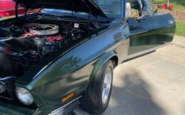 Unknown-Mustang-1971-Dark-GreenSlight-Go-6
