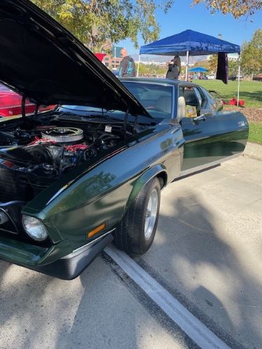 Unknown-Mustang-1971-Dark-GreenSlight-Go-6