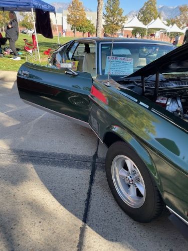 Unknown-Mustang-1971-Dark-GreenSlight-Go-7