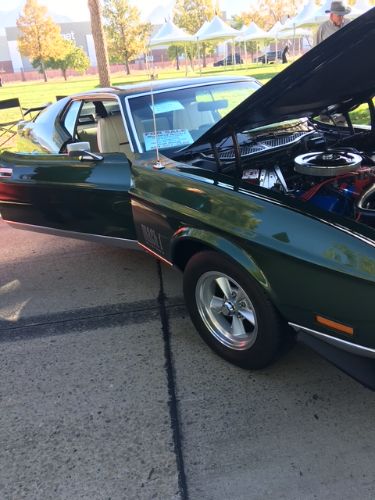 Unknown-Mustang-1971-Dark-GreenSlight-Go-9