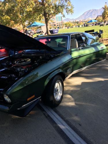 Unknown-Mustang-1971-Dark-GreenSlight-Go