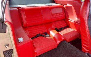 Unknown-Mustang-1971-Silver-Red-10