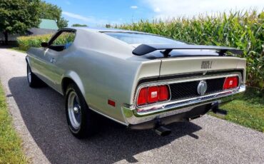 Unknown-Mustang-1971-Silver-Red-15
