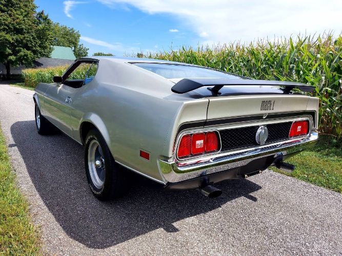 Unknown-Mustang-1971-Silver-Red-15